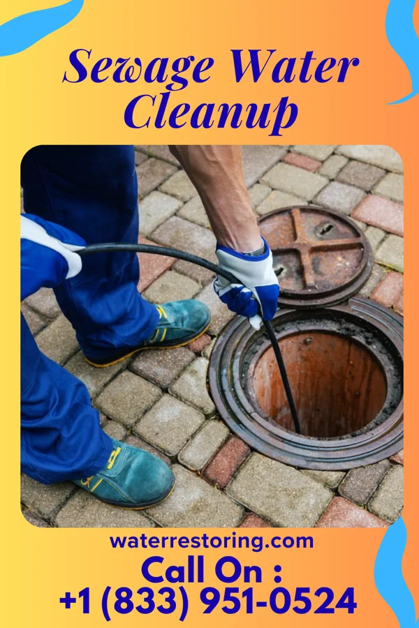 Sewage Water Cleanup in Pea Ridge, FL