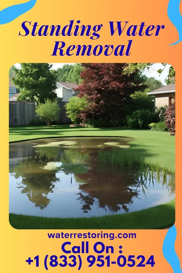 Standing Water Removal in Pea Ridge, FL